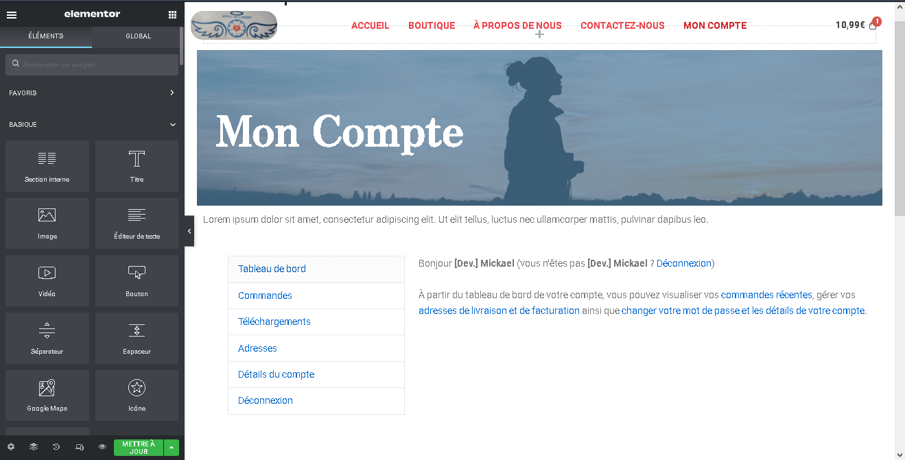 Modification de la page Mon Compte avec Elementor